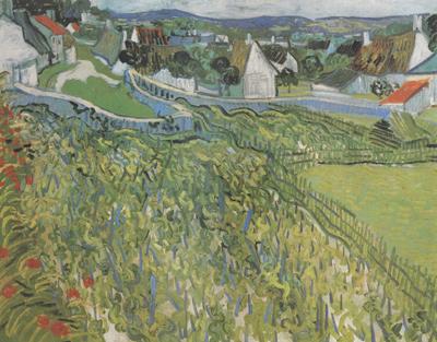Vincent Van Gogh Vineyard with a View of Auvers (nn04) Norge oil painting art